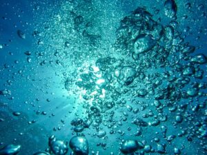 体にいい水の条件 ｜ 海と同等のミネラルバランス